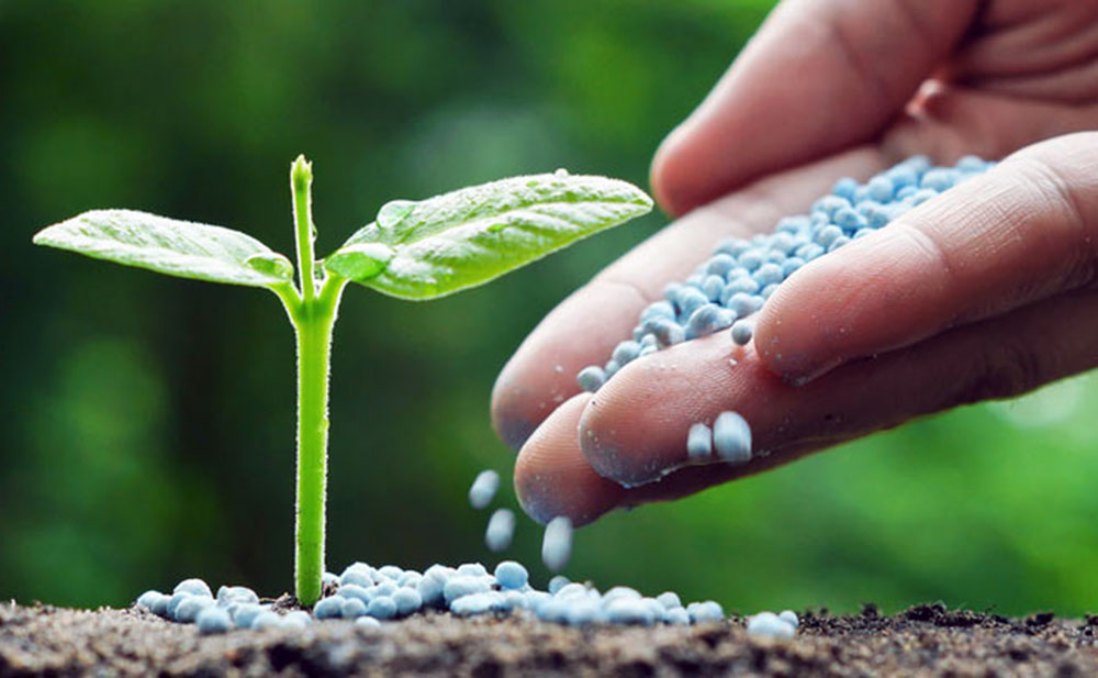 Fertilizers Arnall Grocery