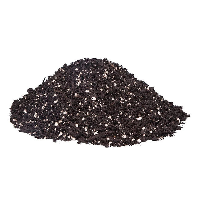 32qt Evergreen Potting Soil
