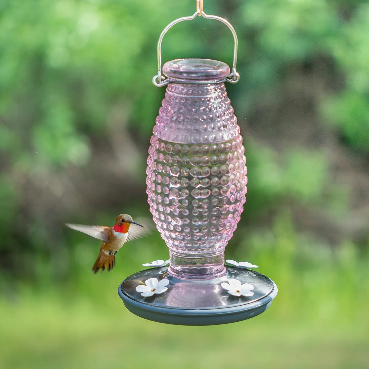 Hobnail Hummingbird Feeder
