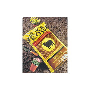 1CF Black Kow Velvet Peat