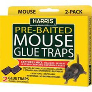 HARRIS MOUSE GLUE TRAP 2 PACK