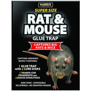 Super Size Rat & Mouse Glue Trap