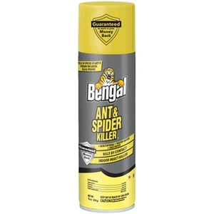 16OZ BENGAL ANT AND SPIDER KILLER