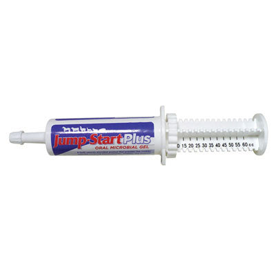 60 GM Jumpstart