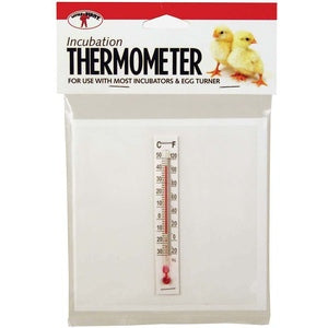 Thermometer for Incubator