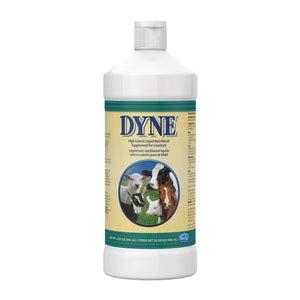 DYNE HIGH CALORIE SUPPLEMENT FOR LIVESTOCK