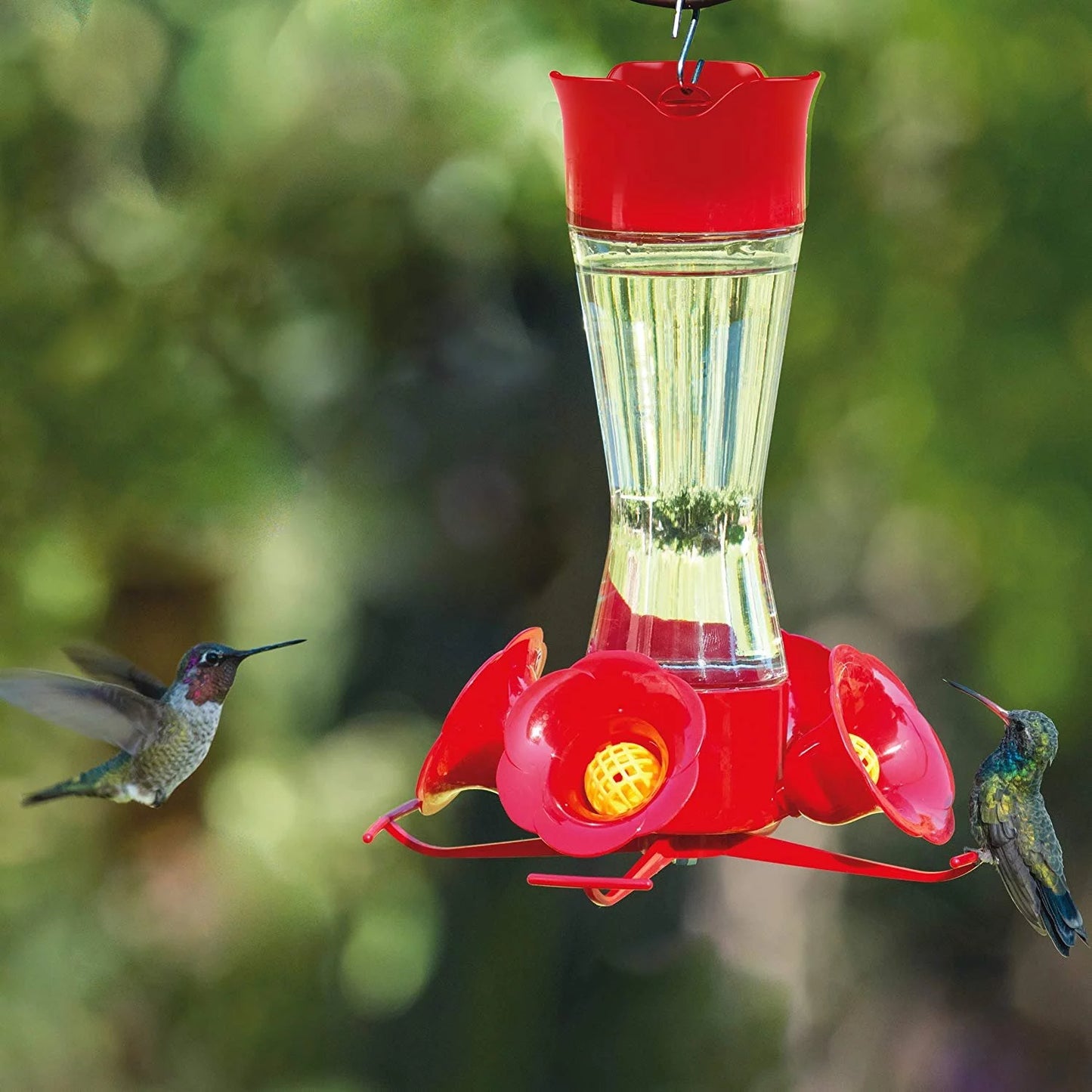 8 oz Glass Hummingbird Feeder