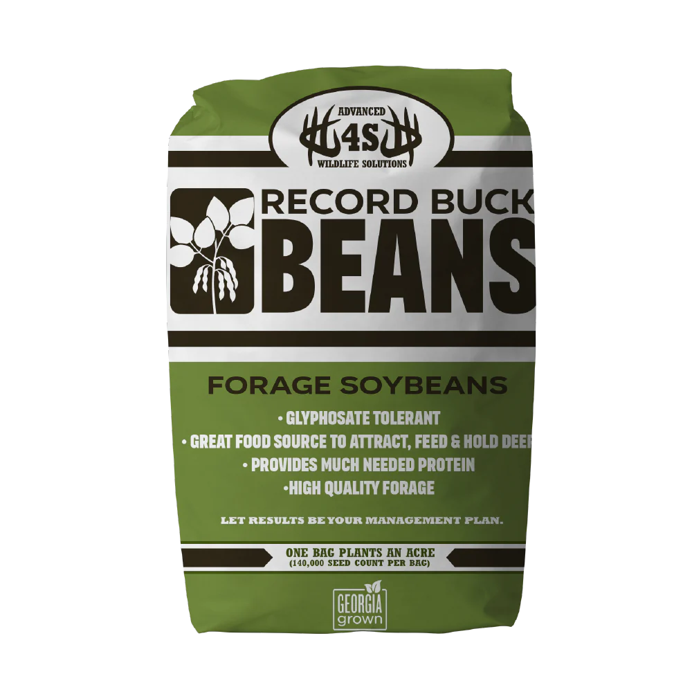 4S Record Buck Beans