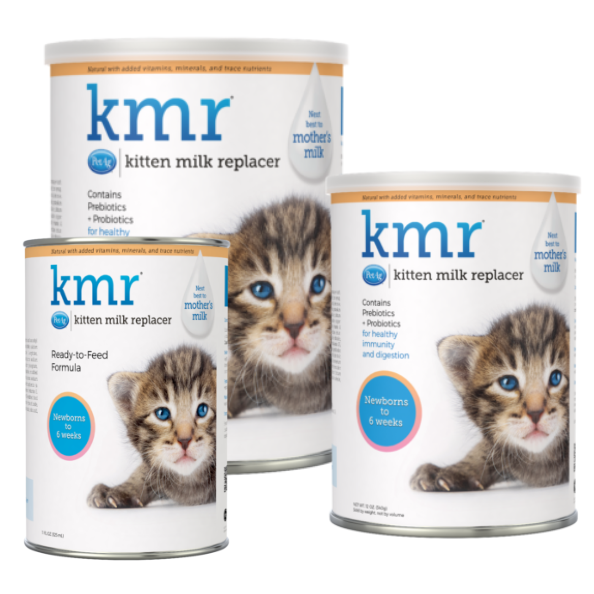 Where to buy kitten milk hot sale