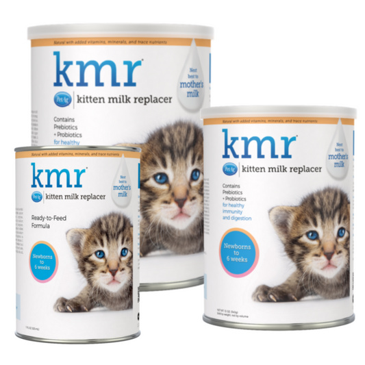 12oz KMR Kitten Milk Replacer