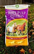 Beet Pulp Pellet 50