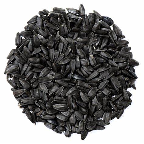 25lb Black Oil Sunflower Seed