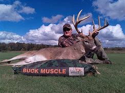Buck Muscle Deer Mineral 50lb