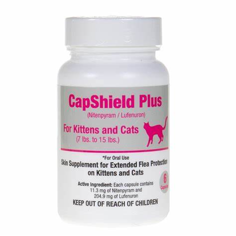1 tablet of Capshield Plus for Cats