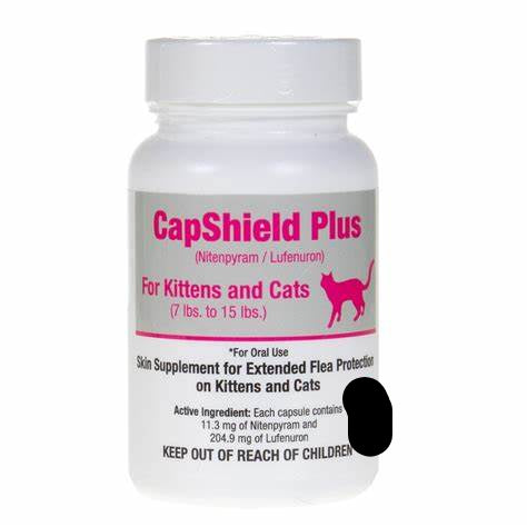 1 tablet of Capshield Plus for Cats