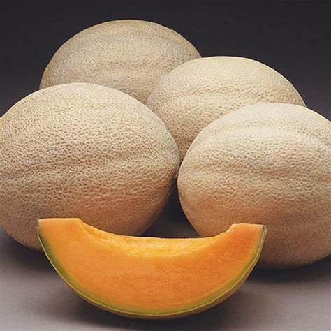 ATHENA CANTALOUPE SEEDS 1 OZ