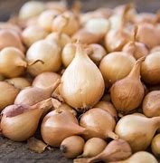 Yellow Onion Bulb 1lb