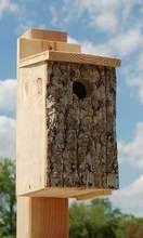 Bluebird House w/ Bark