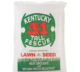 KENTUCKY 31 FESCUE SEED 25 lbs