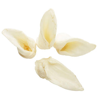 LAMB EAR DOG TREAT