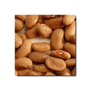 Kentucky Wonder Pole Bean