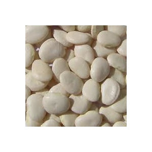 Henderson Bush Lima Bean Seeds