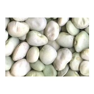 Fordhook Bush Lima Bean Seed