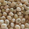 Cream 40 Pea Seeds
