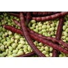 Purplehull Pinkeye Pea Seeds