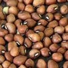 Mississippi Silver Pea Seeds