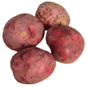 1 LB PONTIAC RED SEED POTATOES  **SEASONAL**