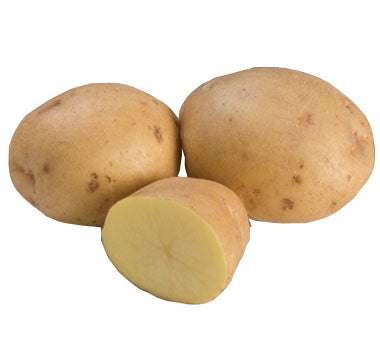 1 LB YUKON GOLD SEED POTATOES  **SEASONAL**