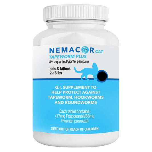 1 tablet of Nemacor Cat Tapeworm Plus