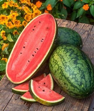 Congo Watermelon Seeds