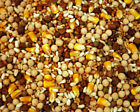 EUROPEAN SUPREME PIGEON FEED 50 lbs