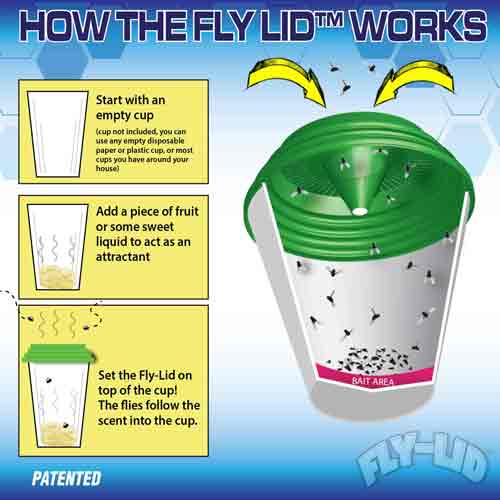 2pk Fly-Lid Fly Trap