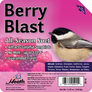 BERRY BLAST SUET