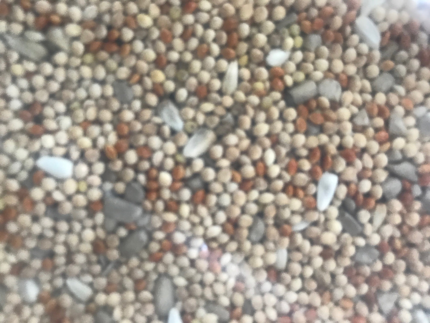 15lb No Waste Wild Bird Seed