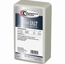 PLAIN SALT BRICK(15/CS) 4 lbs