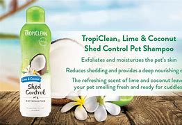 TROPICLEAN SHED CONTROL PET SHAMPOO
