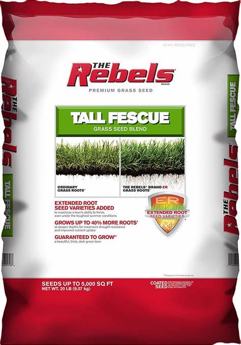 REBEL FESCUE MIX 40 lbs