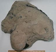 50 lb. COAL