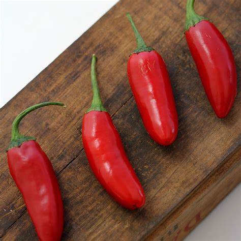 Jalapeno Pepper Seeds