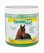 EPSOM SALT POULTICE 20OZ