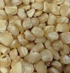 Hickory King Corn Seeds