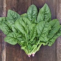 Bloomsdale Spinach Seeds