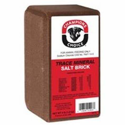 TRACE MINERAL SALT BRICK (15/CS) 4 lbs