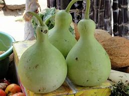 Birdhouse/Bottleneck Gourd Seeds