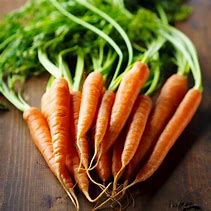 Imperator Carrot Seeds