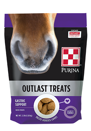 PURINA OUTLAST TREATS 3.5 lbs